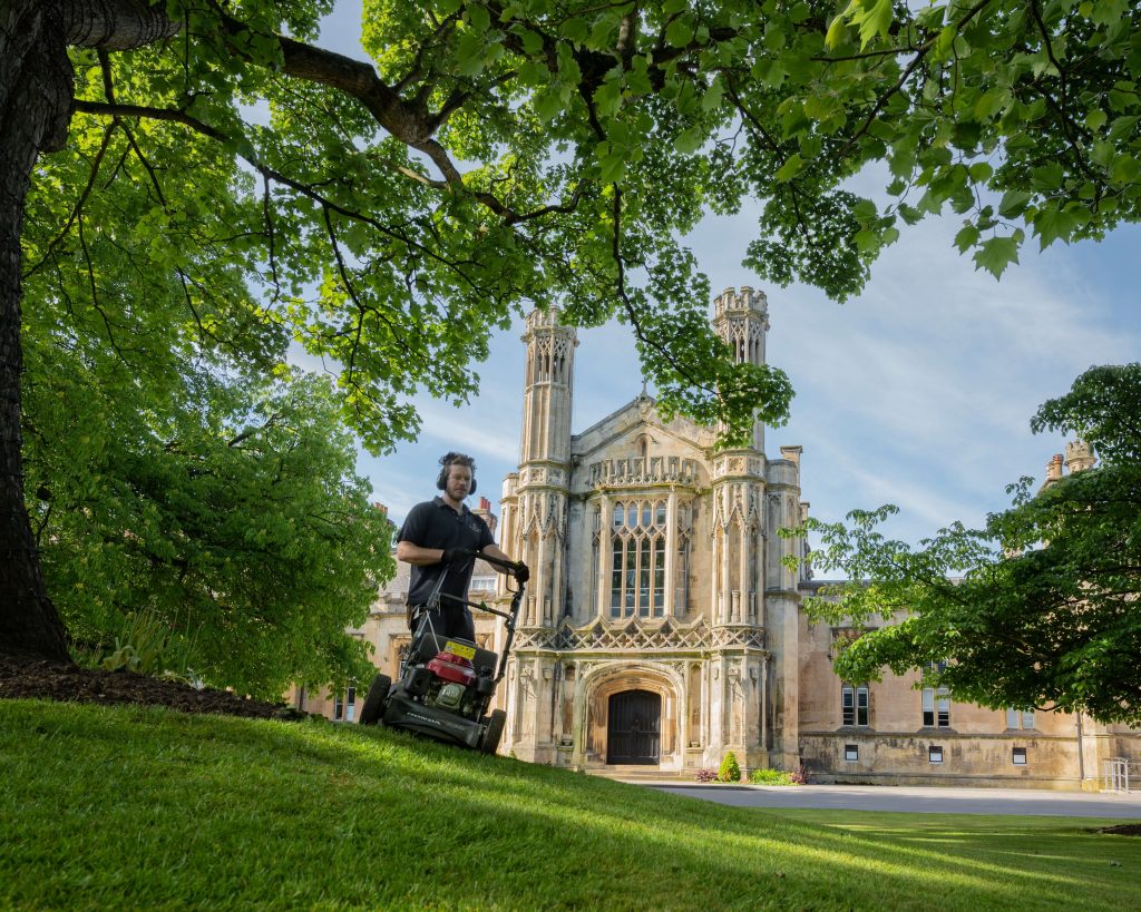 lawn disease control
